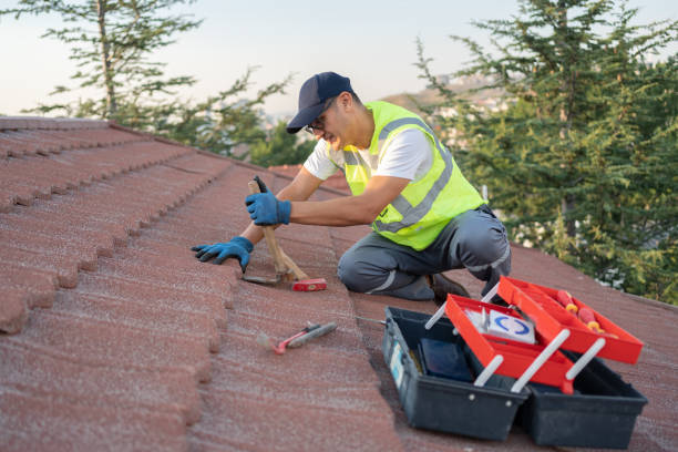 Best Roof Gutter Cleaning  in Tracy City, TN