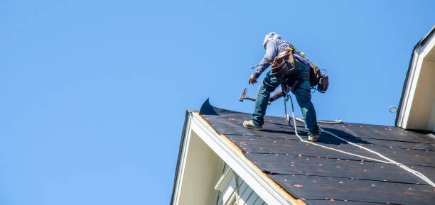 Best Roof Leak Repair  in Tracy City, TN